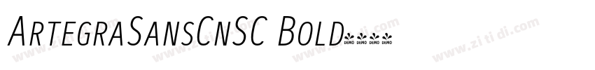 ArtegraSansCnSC Bold字体转换
